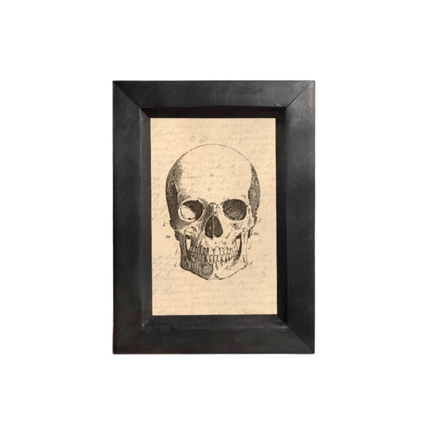 Halloween Halloween Antiqued Skull Print Behind Glass in Solid Wood Frame -5-1/4″ x 7-1/4″