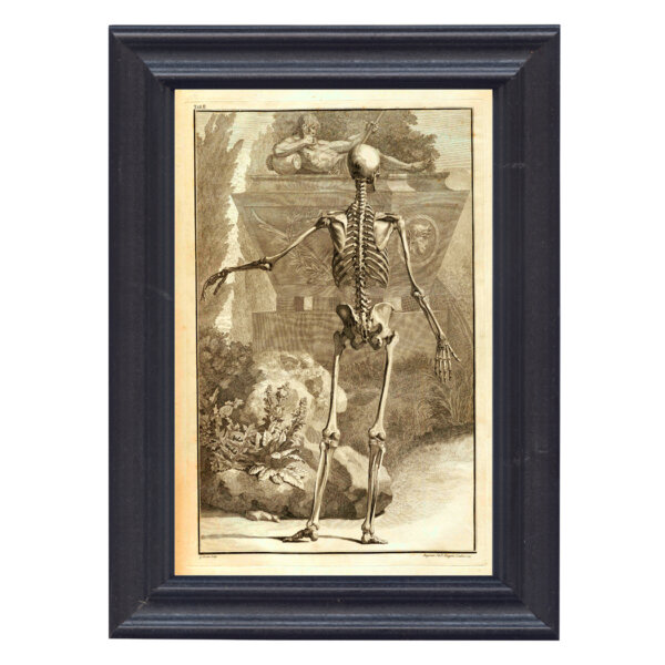 Halloween Halloween Skeleton at Monument Print Behind Glass in Black Solid Wood Frame- 7-1/4″ x 9-3/4″.