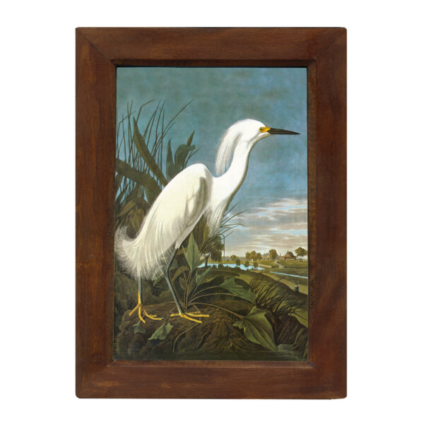 Marine Life/Birds Botanical/Zoological Snowy Egret 6-1/2 x 10″ Print Behind Glass. Red-Brown Distressed Solid Wood Frame. Framed size is 8-1/2 x 12″.