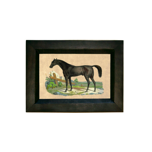 Equestrian/Fox Equestrian Thoroughbred Horse 4×6″ Print Behind Glass in Black Distressed Solid Wood Frame. Framed size is 7-1/4″ x 5-1/4″.