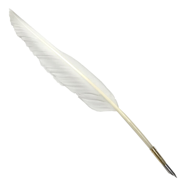 12" White Goose Feather Quill w/ Brass Nib Holder Madison Bay Company