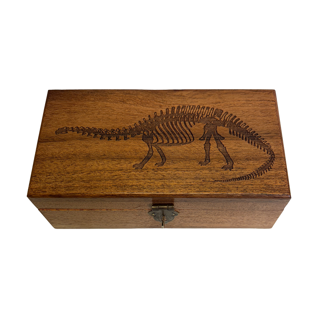 Decorative Boxes Botanical/Zoological 6-1/4″ Brontosaurus Dinosaur Engraved Acacia ...