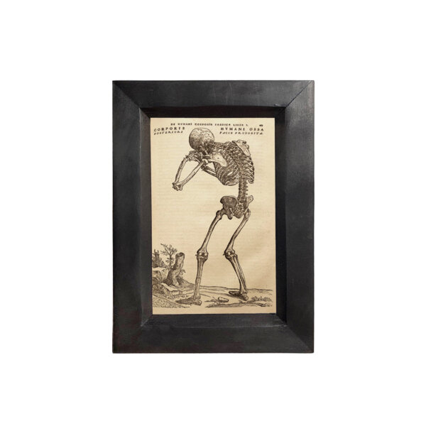 Prints Halloween Weeping Skeleton Print Behind Glass in Black Distressed Solid Wood Frame- 4″ x 6″ Print Framed to 5-1/4″ x 7-1/4″.