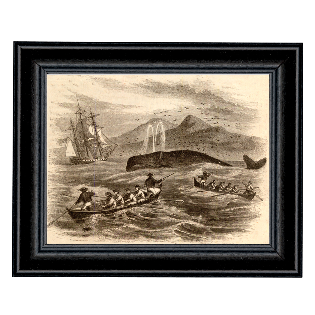 Decor Early American Pursuit of Greenland Whale Etching Print Behind Glass