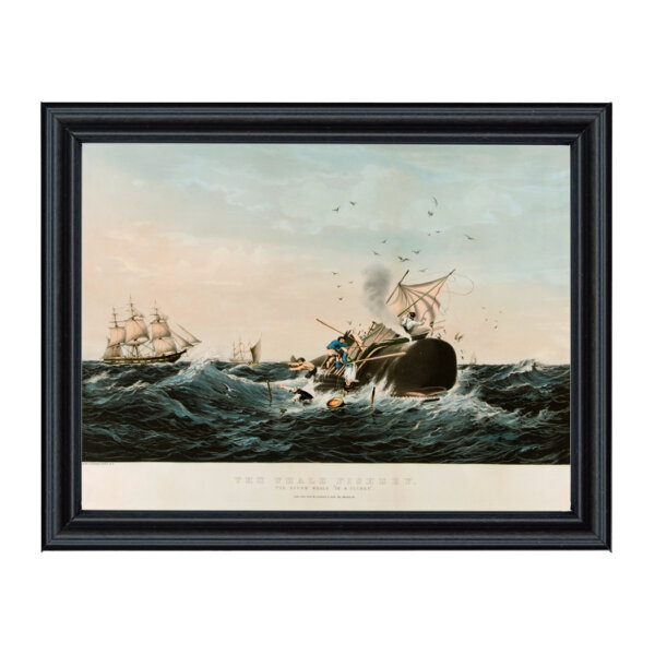 Nautical Nautical Sperm Whale in a Flurry Reproduction Print Behind Glass in Black Solid Wood Frame- 11″ x 14″ Framed to 12-3/4″ x 15-3/4″.
