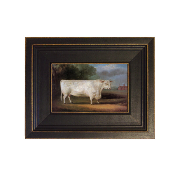 The Prize Bull Framed Oil Painting Print on Canvas in Distressed Black Wood Frame. A 4 x 6
