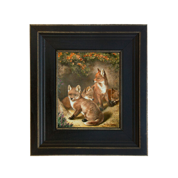 Four Young Foxes Framed Oil Painting Print on Canvas in Distressed Black Wood Frame. A 5