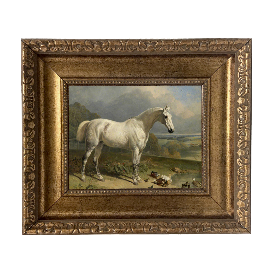 Equestrian/Fox Equestrian Gray Horse with Ducks ...