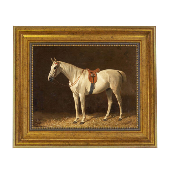 Saddled Grey Horse Framed Oil Painting Print on Canvas in Antiqued Gold Frame. An 8