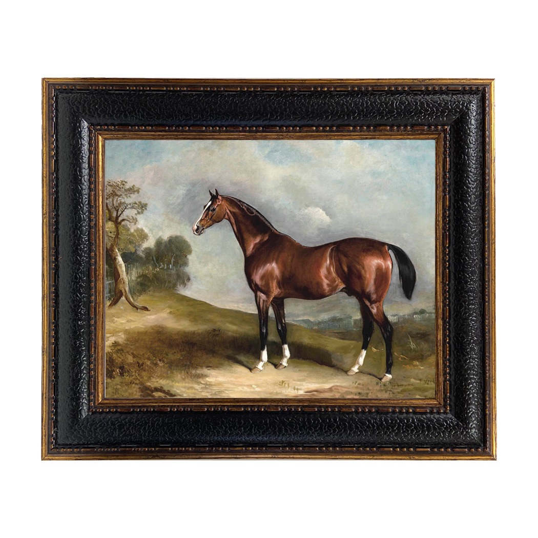 Portrait of Sultan in Landscape Framed Oil Painting Print on Canvas in Leather-Looking Black and Antiqued Gold Frame. An 11" x 14" framed to 15-3/4" x 18-3/4".