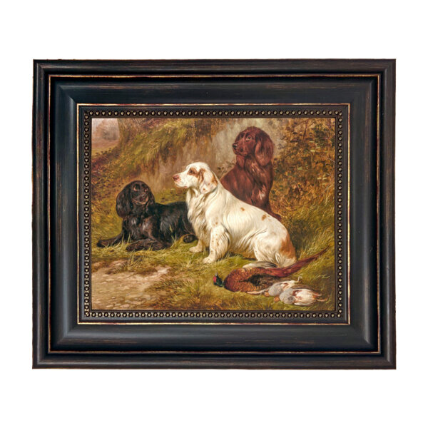 Spaniels at Rest by Colin Graeme Framed Oil Painting Print on Canvas in Distressed Black Frame with Bead Accent. An 8