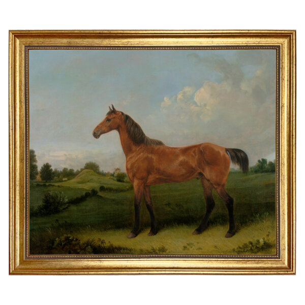 Bay Horse in a Field Oil Painting Print on Canvas in Antiqued Gold Frame. A 20