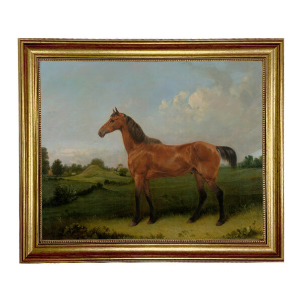 Bay Horse in a Field Oil Painting Print on Canvas in Antiqued Gold Frame. 16