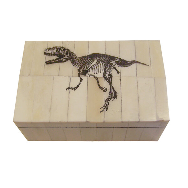 Scrimshaw/Bone & Horn Boxes Botanical/Zoological 5-1/4 x 3-1/4 x 2″ bone box with removable lid etched with skeleton of T-Rex. The interior is lined with felt.
