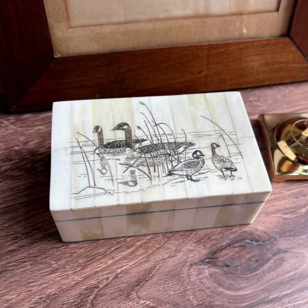 Scrimshaw/Horn & Bone Boxes Lodge 5-1/4″ Candian Goose Scrimshaw Bone Box