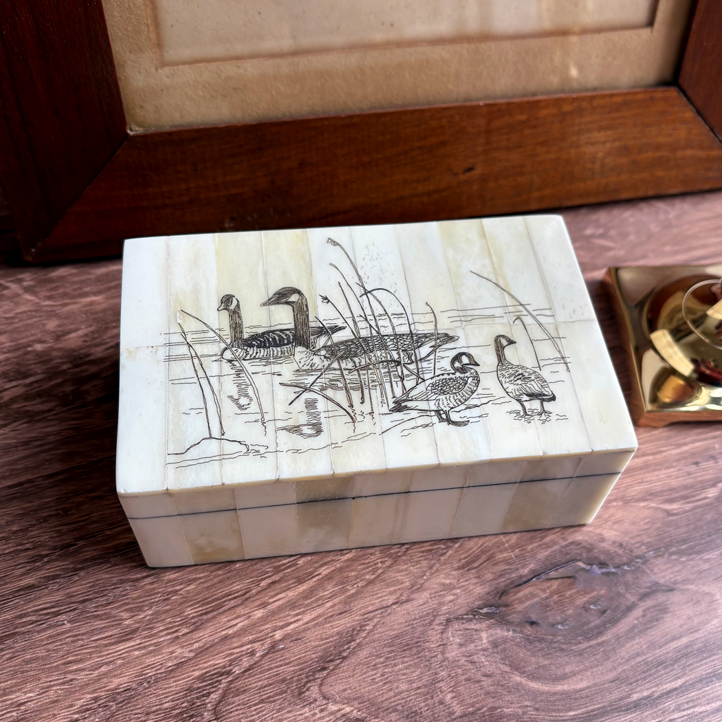 Scrimshaw/Horn & Bone Boxes Lodge 5-1/4″ Candian Goose Scrimshaw Bone Box ...