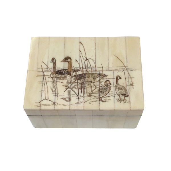 Scrimshaw/Horn & Bone Boxes Lodge 5-1/4″ Candian Goose Scrimshaw Bone Box