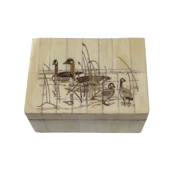 Scrimshaw/Bone & Horn Boxes Lodge 5-1/4 x 3-1/4 x 2″ bone box with removable lid. The interior is lined with felt.