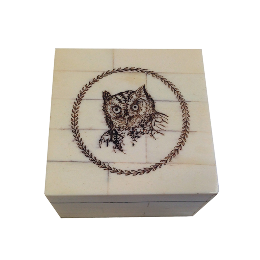 Scrimshaw/Horn & Bone Boxes Lodge 3-1/4″ Owl Head Etched Scrimshaw Bone Box ...