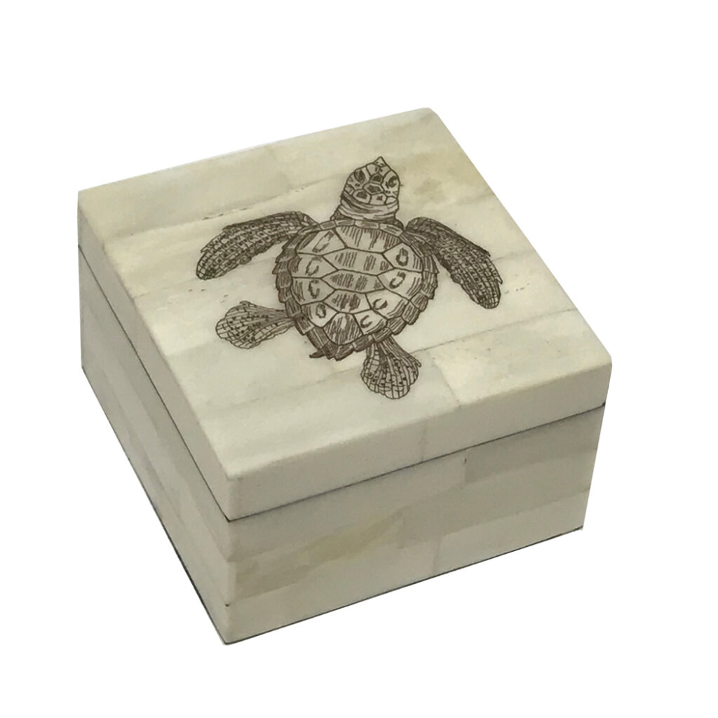 3-1/4″ Sea Turtle Vintage Scrimshaw Bone Box – Madison Bay Company