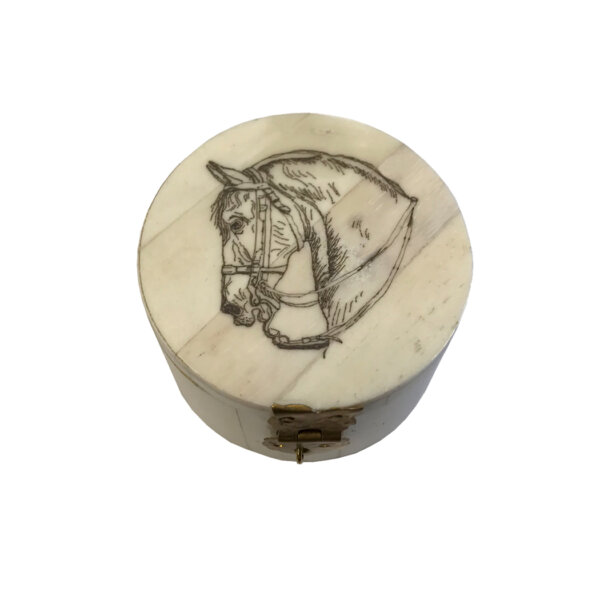 Scrimshaw/Bone & Horn Boxes Equestrian 2-1/4″ X 1-1/4″