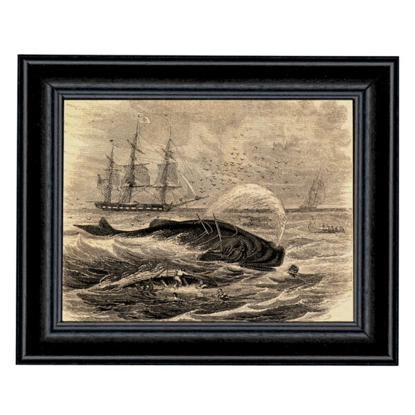 Decor Early American Pursuit of the Sperm Whale Etching Print Behind Glass