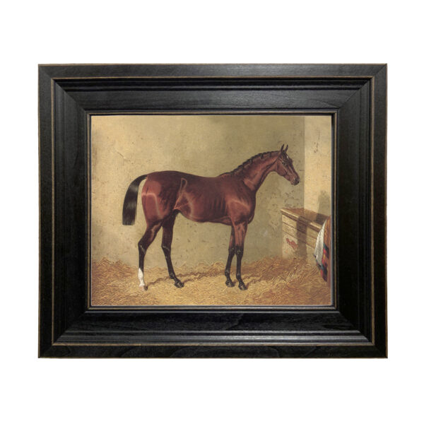 Bay Colt in Stable Framed Oil Painting Print on Canvas in Distressed Black Wood Frame