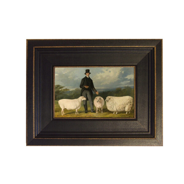 Three Sheep Framed Oil Painting Print on Canvas in Distressed Black Wood Frame