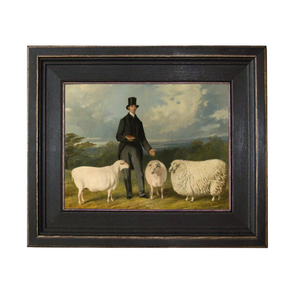 Three Sheep Framed Oil Painting Print on Canvas in Distressed Black Wood Frame