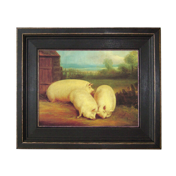 Three Prize Pigs Framed Oil Painting Print on Canvas in Distressed Black Wood Frame