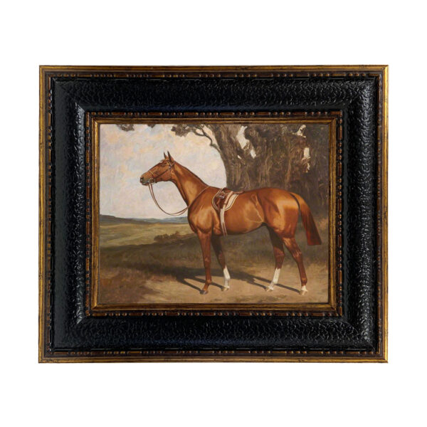 Saddled Chestnut Race Horse Framed Oil Painting Print on Canvas in Leather-Look Black and Antiqued Gold Frame. Framed to 12-3/4