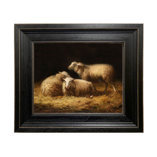 Sheep in Hay Framed Oil Painting Print on Canvas in Distressed Black Wood Frame