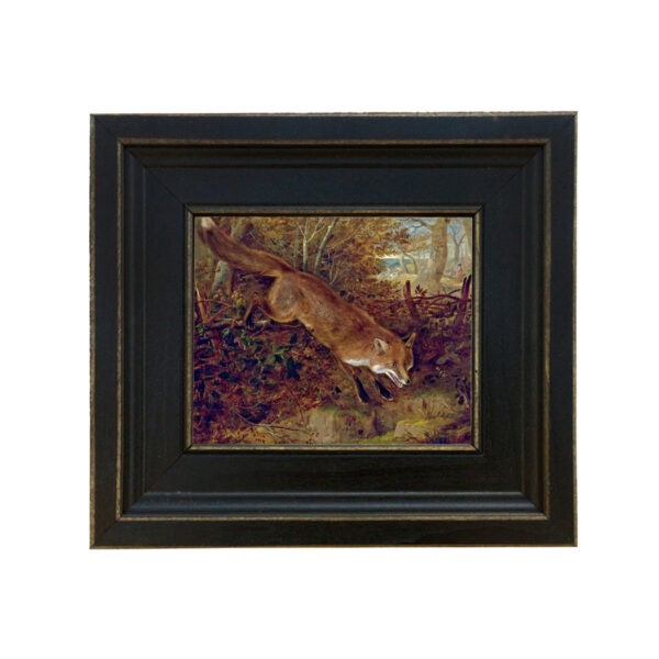 Fox Breaking for Cover by William Webb Framed Oil Painting Print on Canvas in Distressed Black Wood Frame