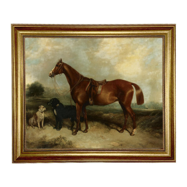 Equestrian/Fox Dogs Chestnut Horse with Two Dogs