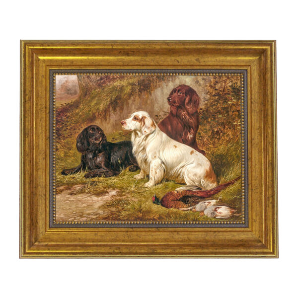 Spaniels at Rest by Colin Graeme Framed Oil Painting Print on Canvas in Antiqued Gold Frame. An 8" x 10" Framed to 11-1/2" x 13-1/2".
