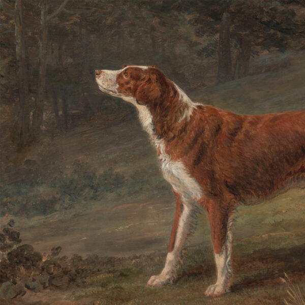 Irish Red and White Setter Dog Oil Painting Print on Canvas in Brown and Antiqued Gold Frame