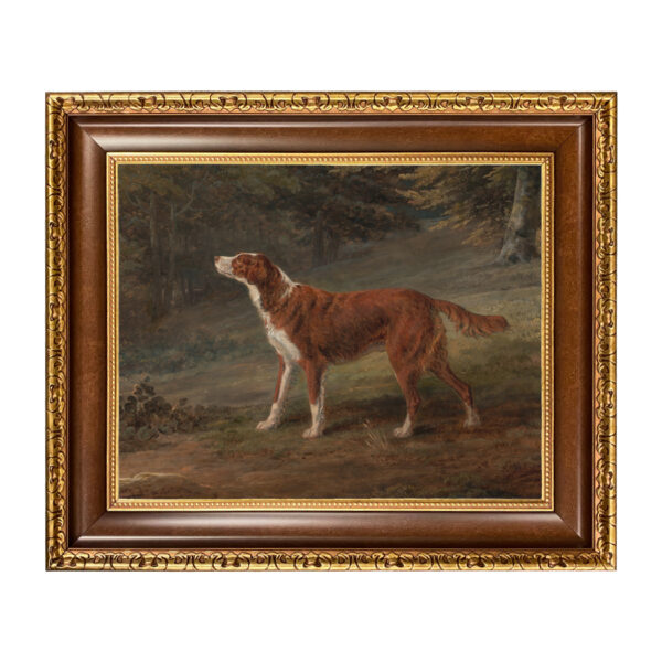 Irish Red and White Setter Dog Oil Painting Print on Canvas in Brown and Antiqued Gold Frame