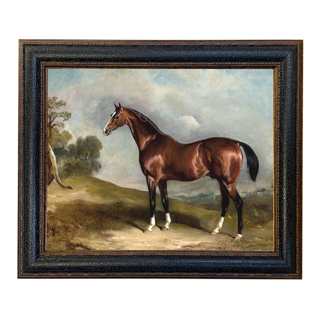 Equestrian/Fox Equestrian Portrait of Sultan in Landscape ...