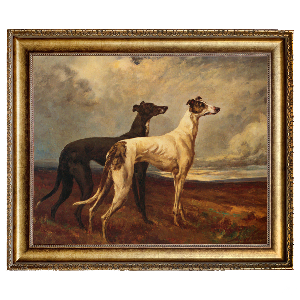 Dogs/Cats Dogs Greyhounds in Field ...