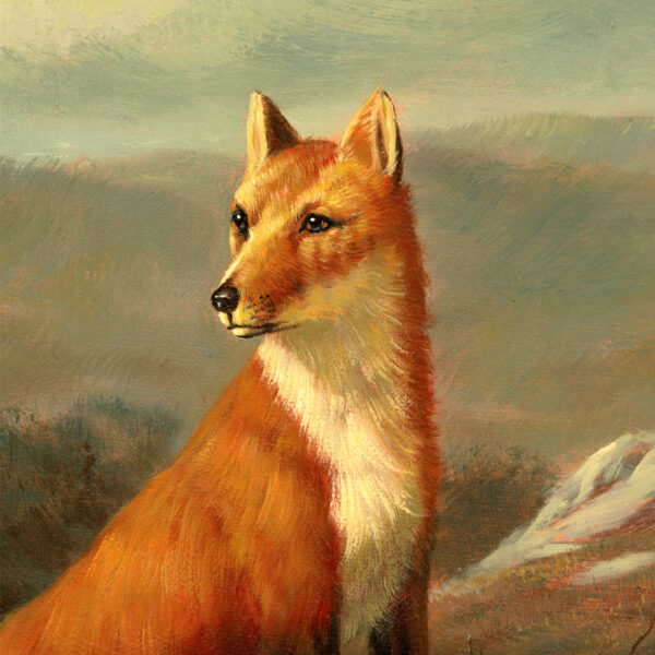 Equestrian/Fox Red Fox