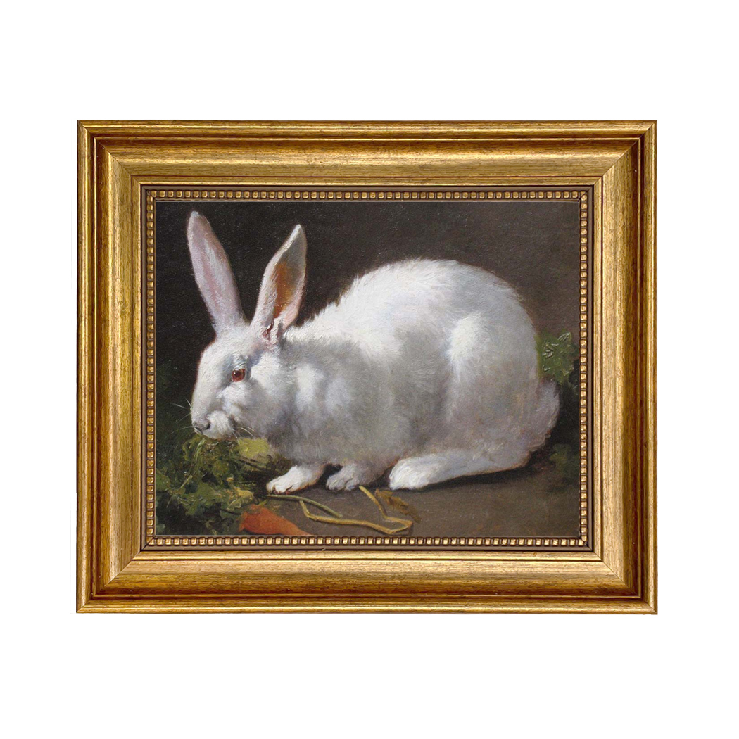 Farm/Pastoral Easter White Rabbit ...