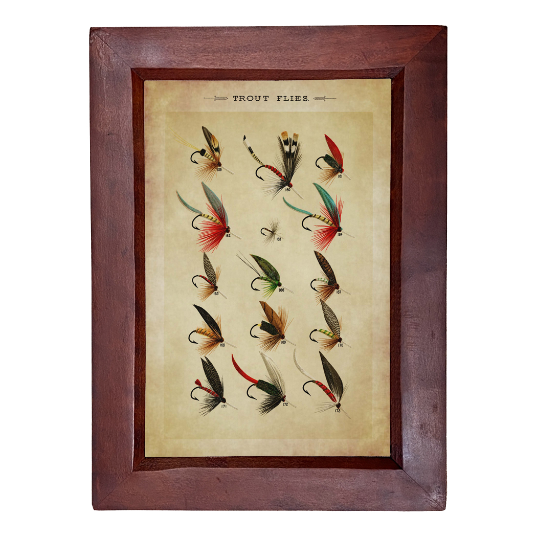 Trout Flies Reproduction Print, Framed Behind Glass