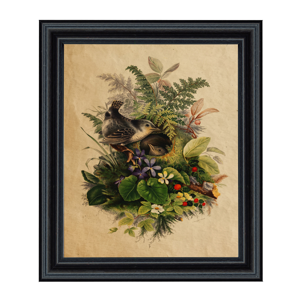 Cabin/Lodge Lodge Birds in Nest Cottagecore Framed Reproduction Prin ...