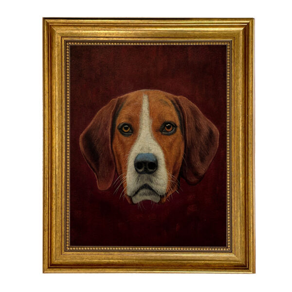 Dogs/Cats Dogs Fox Hound Portrait