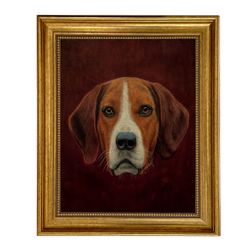 Dogs/Cats Dogs Fox Hound Portrait ...