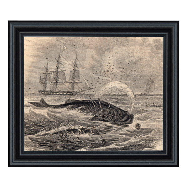 Nautical Pursuit of Sperm Whale Etching Print Behind Glass