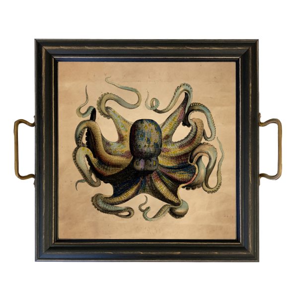 Marine Life/Birds Nautical Octopus Framed Wall Print Behind Glass or Decorative Tray