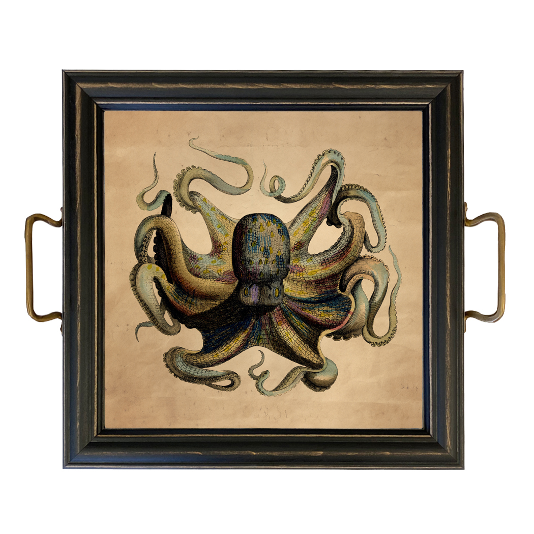 Marine Life/Birds Nautical Octopus Framed Wall Print Behind Glass or Decorati ...