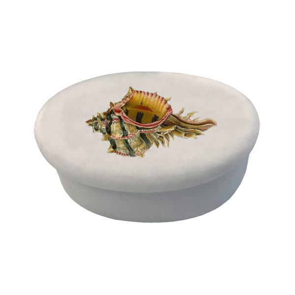 Decorative Boxes Botanical/Zoological Conch Seashell White Oval Soapstone Trinket-Jewelry Box