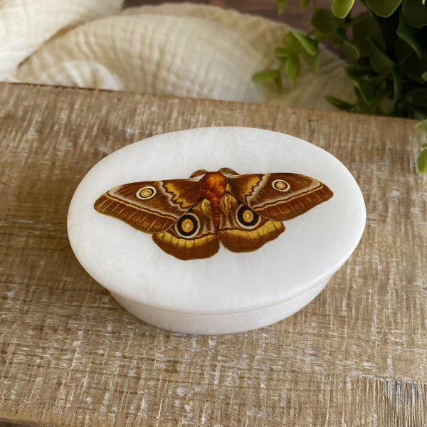 Decorative Boxes Botanical/Zoological 3″ Emperor Moth White Oval Soapstone Trinket-Jewelry Box